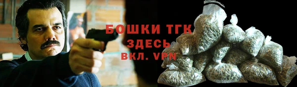 крисы Баксан